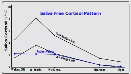 Dutch-hormone-test-graph